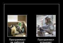 Жартівливі вірші з днем програміста