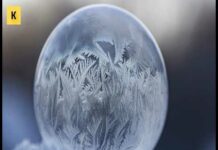 Де взяти базу для холодних дзвінків – як знайти і зібрати самостійно