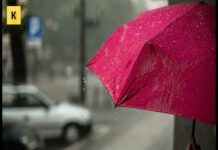 Страхування малого та середнього бізнесу від ризиків