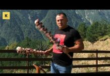 Скільки заробляє георгій кавказ на ютубі в місяць