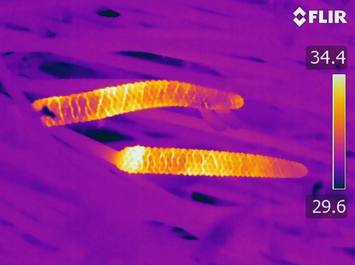 11dc9006-536b-4acd-9418-9aa0a56283a8