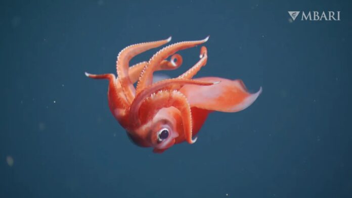 a0ff97b5-d798-47e1-ae2c-7d23032c4ec6