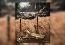 Древние Пчелы Использовали Окаменелые Кости в Качестве Ульев, Обнаружили Новое Открытие