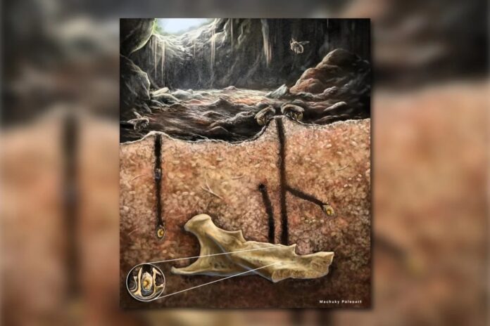 bdbbe78c-4a39-4778-9323-7fbb664dbba0