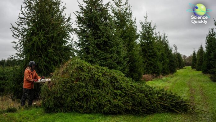 70627204-306e-4b3c-a1d8-09495ac2ebeb