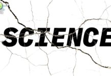 2025: Год Хаоса и Пересмотра Приоритетов в Науке