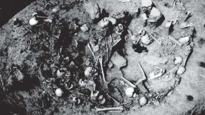 3491916a-d86a-45f8-8749-32c0ec172ac0