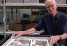 Найстаріший слід динозавра в Австралії було виявлено… десятиліття тому