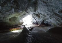 Стародавні Бактерії Зберігають Ключі до боротьби з сучасною антибіотикорезистентністю