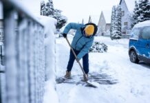 Проблема Замету: Чому Люди Співпрацюють, Незважаючи на егоїзм