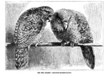 Наука крізь час: Відлуння відкриттів 1876, 1926 і 1976 років