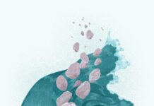 Het onverwachte verhaal van de rotsblokken in Pennsylvania: hoe ijs niet altijd de boosdoener is