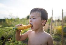 Морква і бачення: як на війні відокремити правду від вигадки