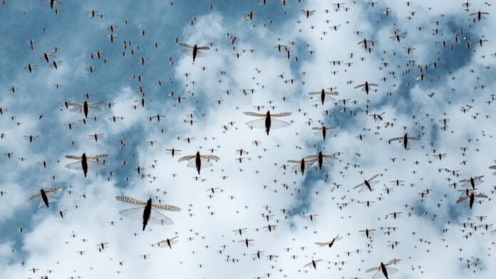 e7fb4b3f-e612-467e-ac08-afff1c32f6f0