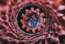 Nova variante do COVID ‘Cicada’ se espalha nos EUA