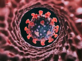 Новий варіант COVID “Цікада” поширюється в США