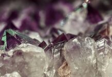 Притягнення приматів до кристалів: пристрасть, що глибоко вкорінилася.