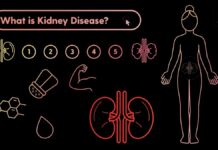 Як насправді працює хвороба нирок?