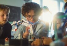 Школы, Создающие Реальные Карьеры: За Пределами Традиционного Образования