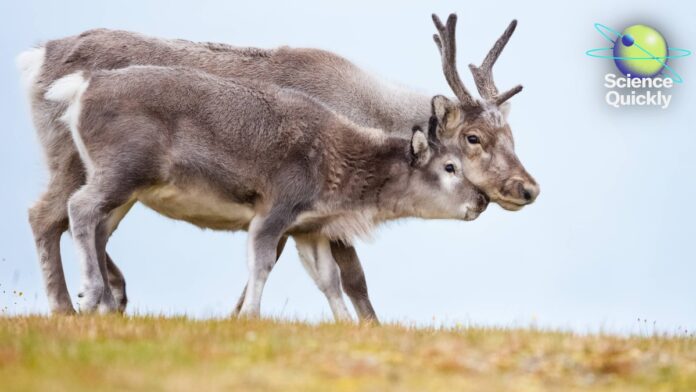 d4c6ecc2-f0c4-46cc-94fd-3502194abf70