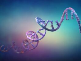 Генна Терапія Демонструє Проривні Результати при Синдромі Драві