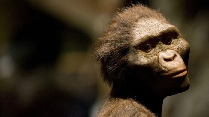 356b315c-43cc-4dc7-b190-d3d6f01b79de