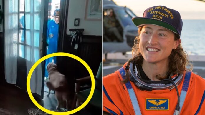 3abd4247-392e-495d-b070-9dd8a67b8cd9