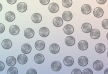 Азартна суперечка, що породила сучасну теорію ймовірностей