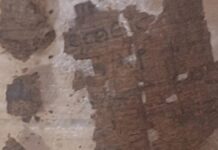 Гомер у мумії: виявлено фрагмент епічної поеми в єгипетському похованні віком 1600 років