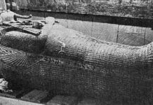 Відлуння відкриттів: століття наукових досягнень