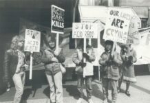 Истории экологического успеха: что стало с великими кризисами прошлого?