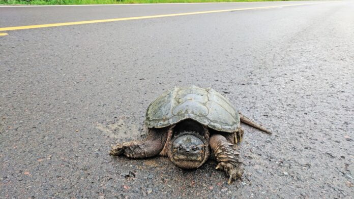 d73c1dd9-7d42-4390-a41a-38639fb67539