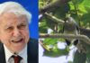 Від Голлівуду до історії: шість знаменитостей, на честь яких названо види тварин і рослин