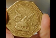 Сучасна золота лихоманка: Сан-Франциско готується до пошуку скарбів із призовим фондом $50 000