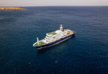 Hantavirus Outbreak on West Africa Cruise Ship: A Deadly Reminder of a Rare Threat