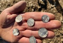 Near-Record Viking Coin Hoard Discovered in Eastern Norway