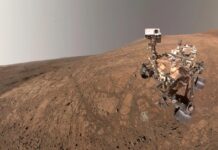 The Fungal Stowaway: How Earth’s Microbes Threaten the Search for Alien Life