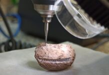 Неандертальці вміли їсти морепродукти (і робили це задовго до нас)