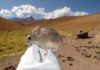 Souris qui gouvernent le vide gelé