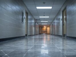 Як оптимізація ІІ може посилити стагнацію результатів NAEP