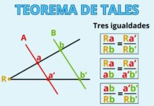 Den Satz von Thales verstehen: Die grundlegende Proportionalitätsregel erklärt