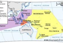 Austronesian Languages: A History of the World’s Widely Spoken Family