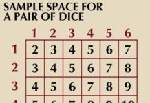 Come funziona la teoria della probabilità e perché predice i risultati della vita reale